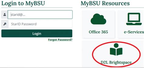 bsu d2l|How to Login .